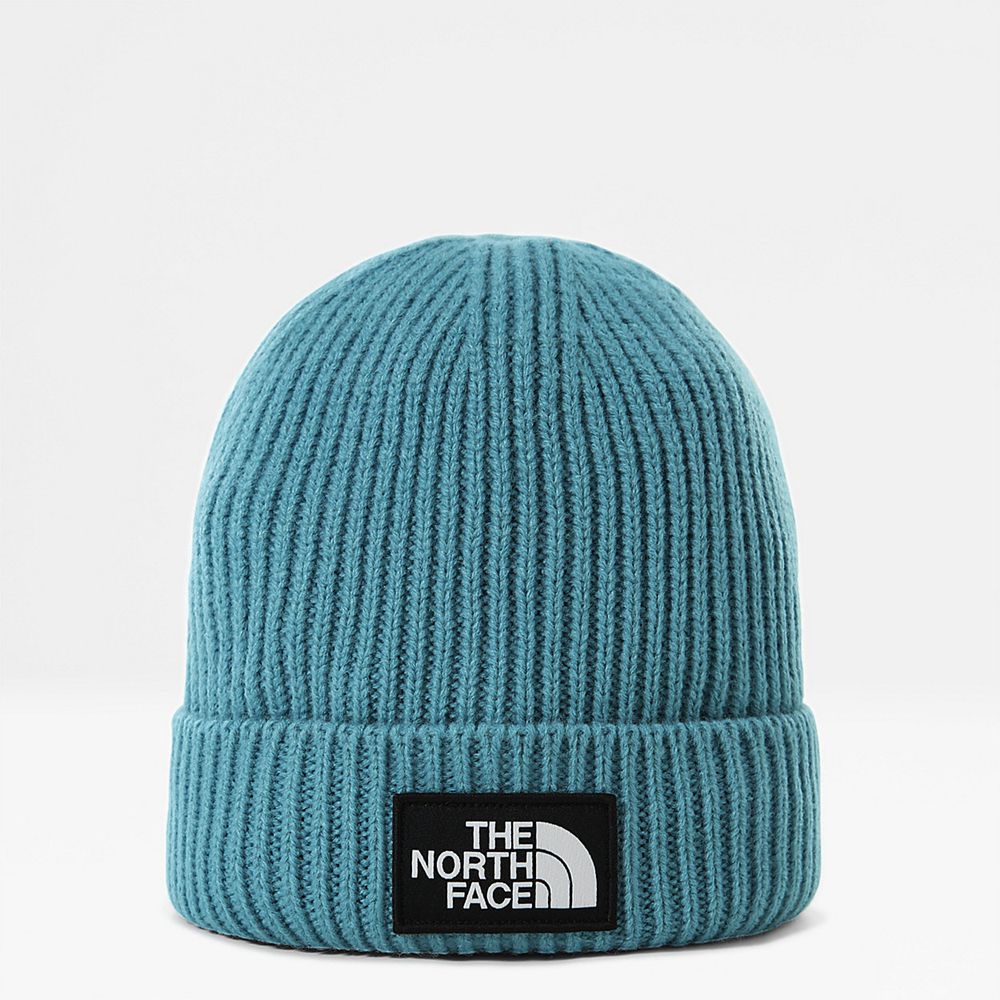 The North Face Beanies Mens Australia - The North Face Tnf Logo Box Cuffed Blue (BIY-460189)